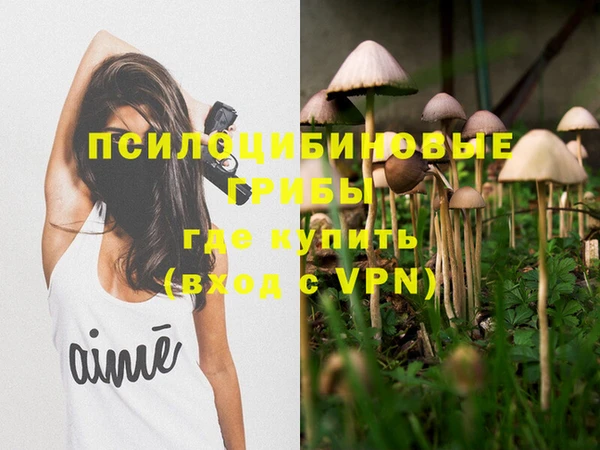 Альфа ПВП Арсеньев