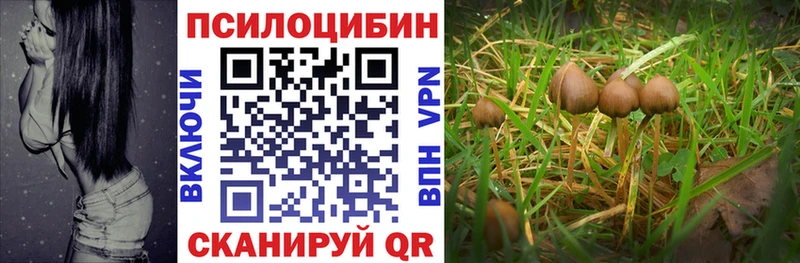 Псилоцибиновые грибы ЛСД Макарьев